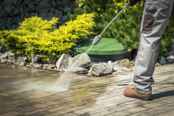 Best Residential Pressure Washing in USA